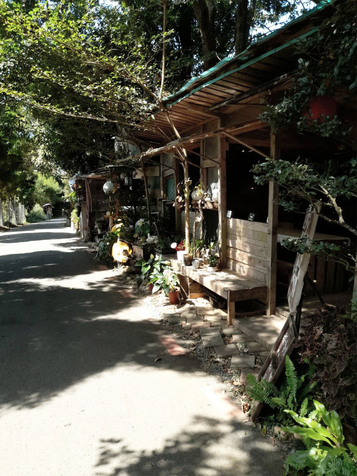 懶人小舖-彰化 員林 藤山步道 咖啡廳｜藤山步道美食｜