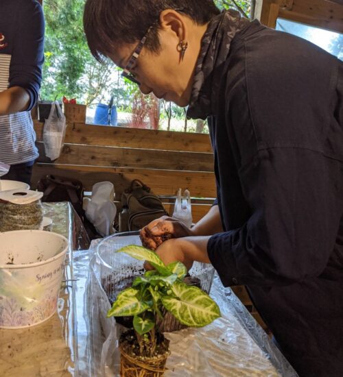 懶人小舖-彰化 員林 藤山步道 咖啡廳｜藤山步道美食｜